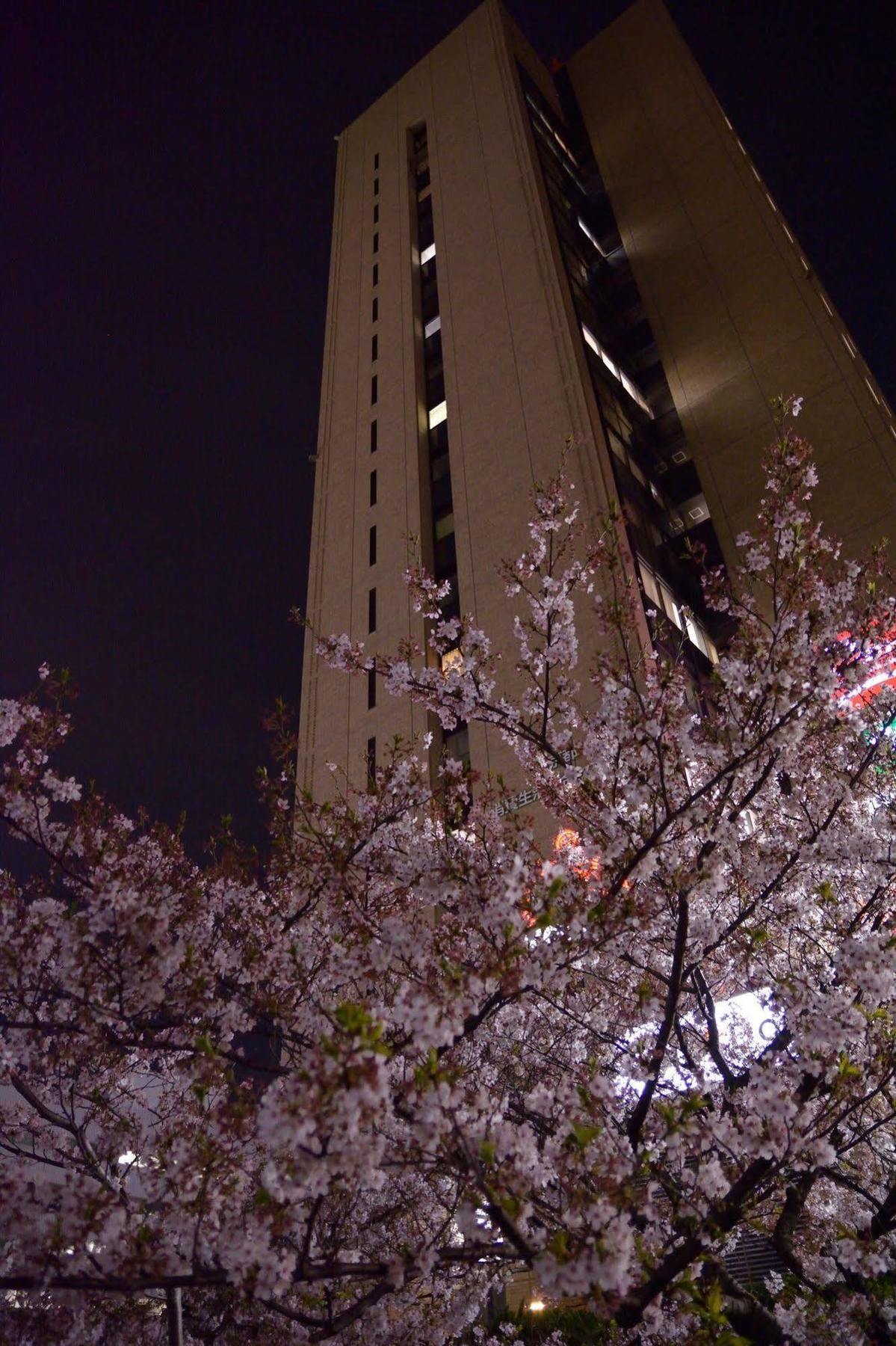 Youth Hostal Tokio